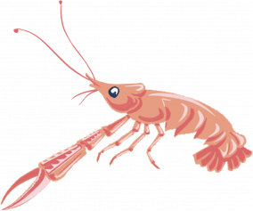 Langoustine