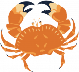 Brown Crab