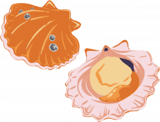 Scallops