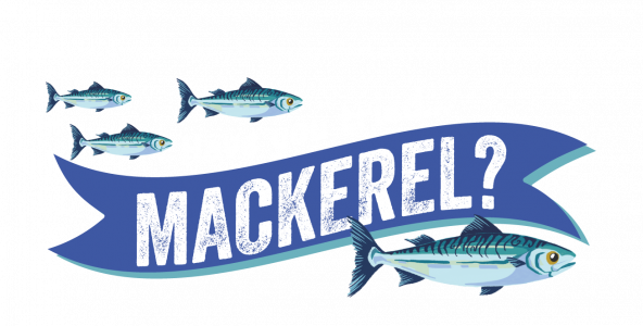 Have you tried... Mackerel?
